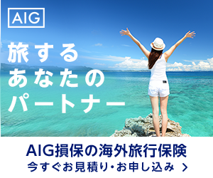 AIG損保